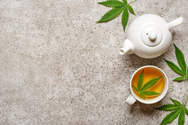 Infusions de chanvre : découvrez comment choisir la meilleure qualité ?